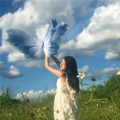 野探哈莉第三季